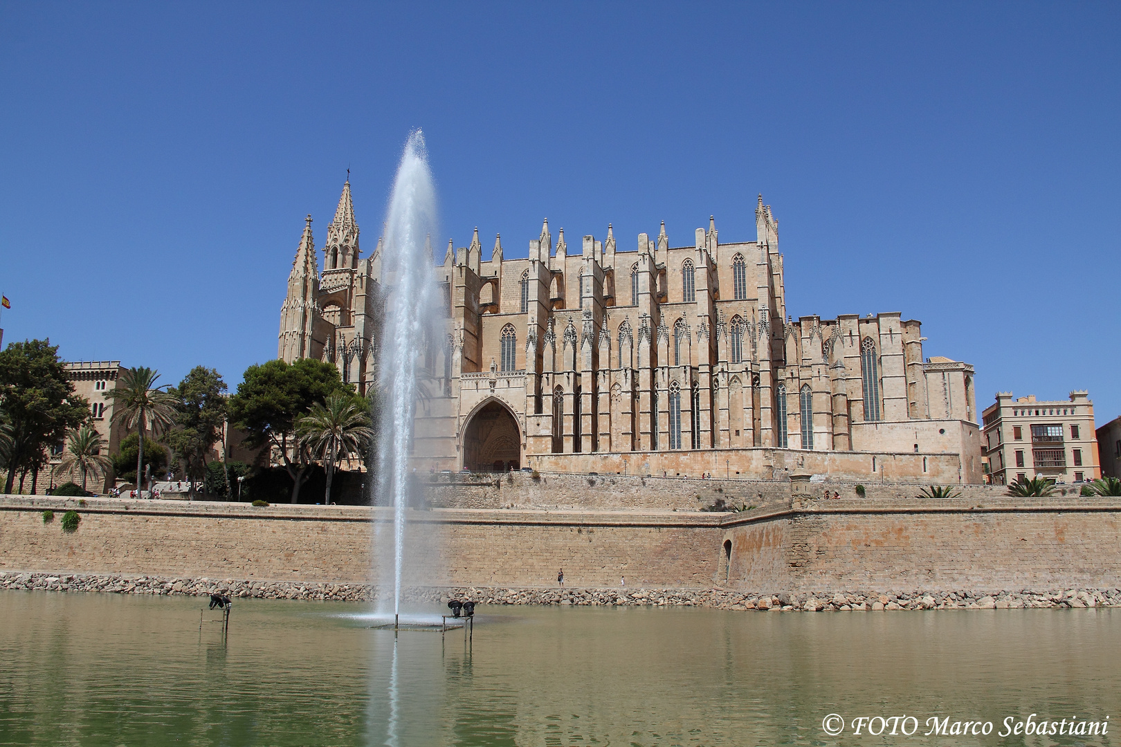 La Cattedrale di Santa Maria "La Seu"