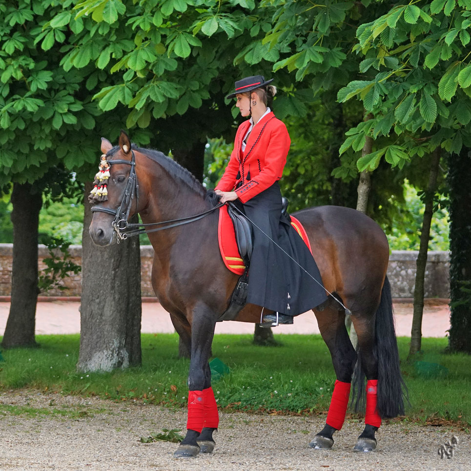 La cavalière ...