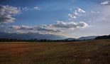 La Cerdanya, tarda d'estiu de groc 