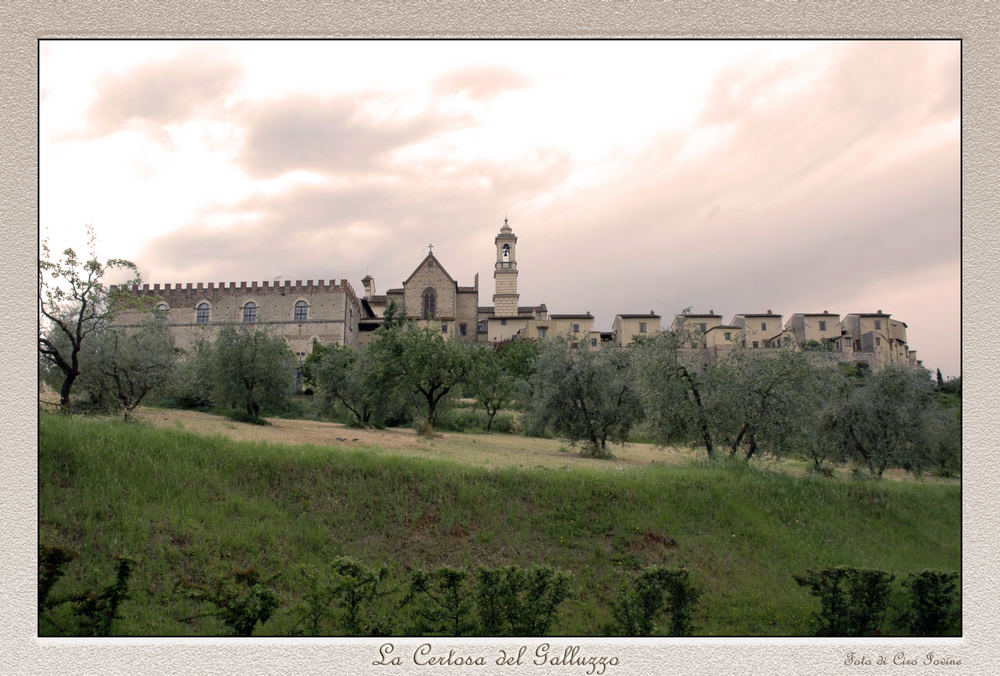 " La Certosa del Galluzzo "