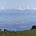 LA CHAINE DES ALPES