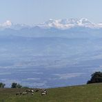 LA CHAINE DES ALPES