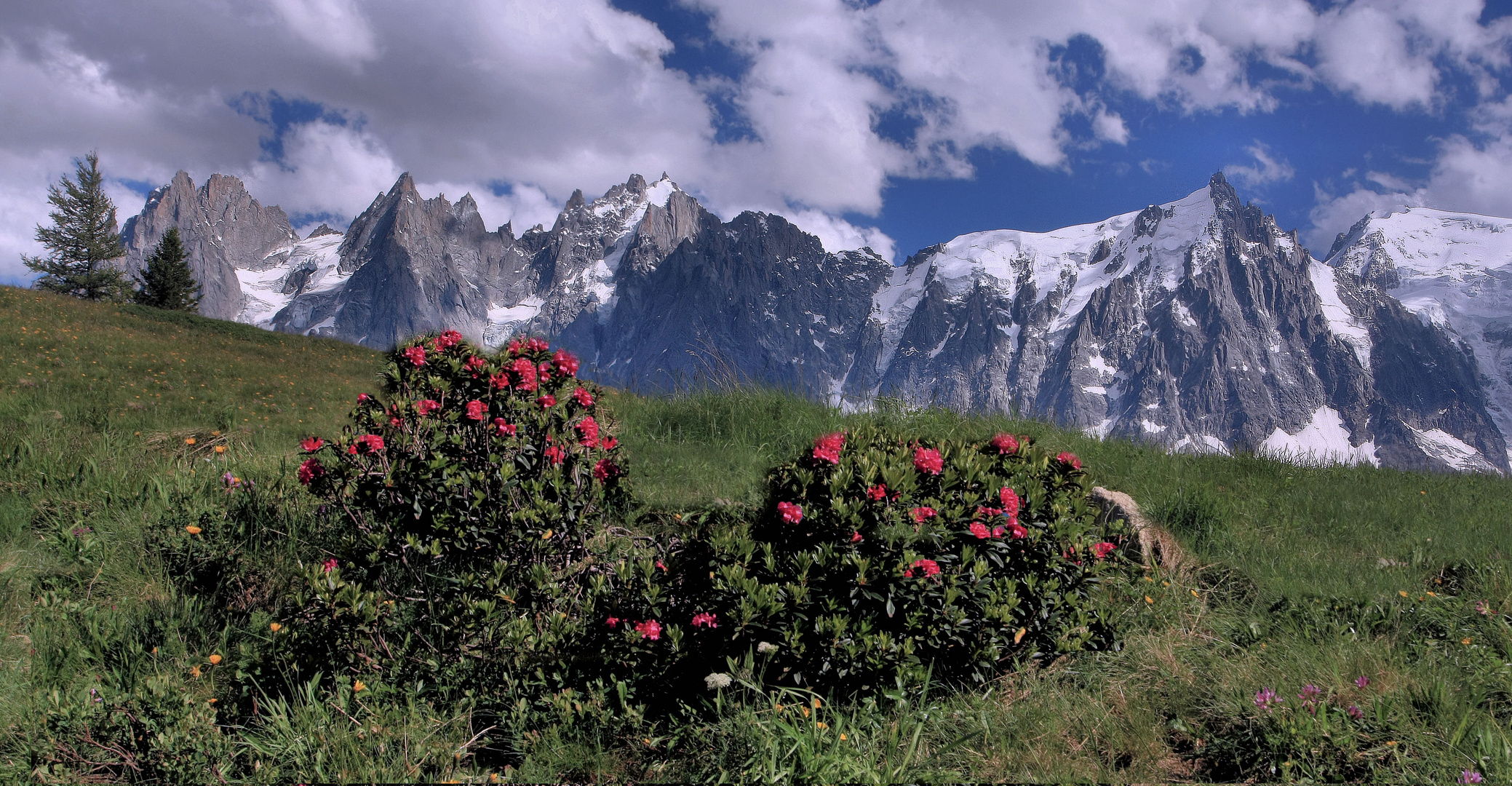 La chaine du Mont Blanc