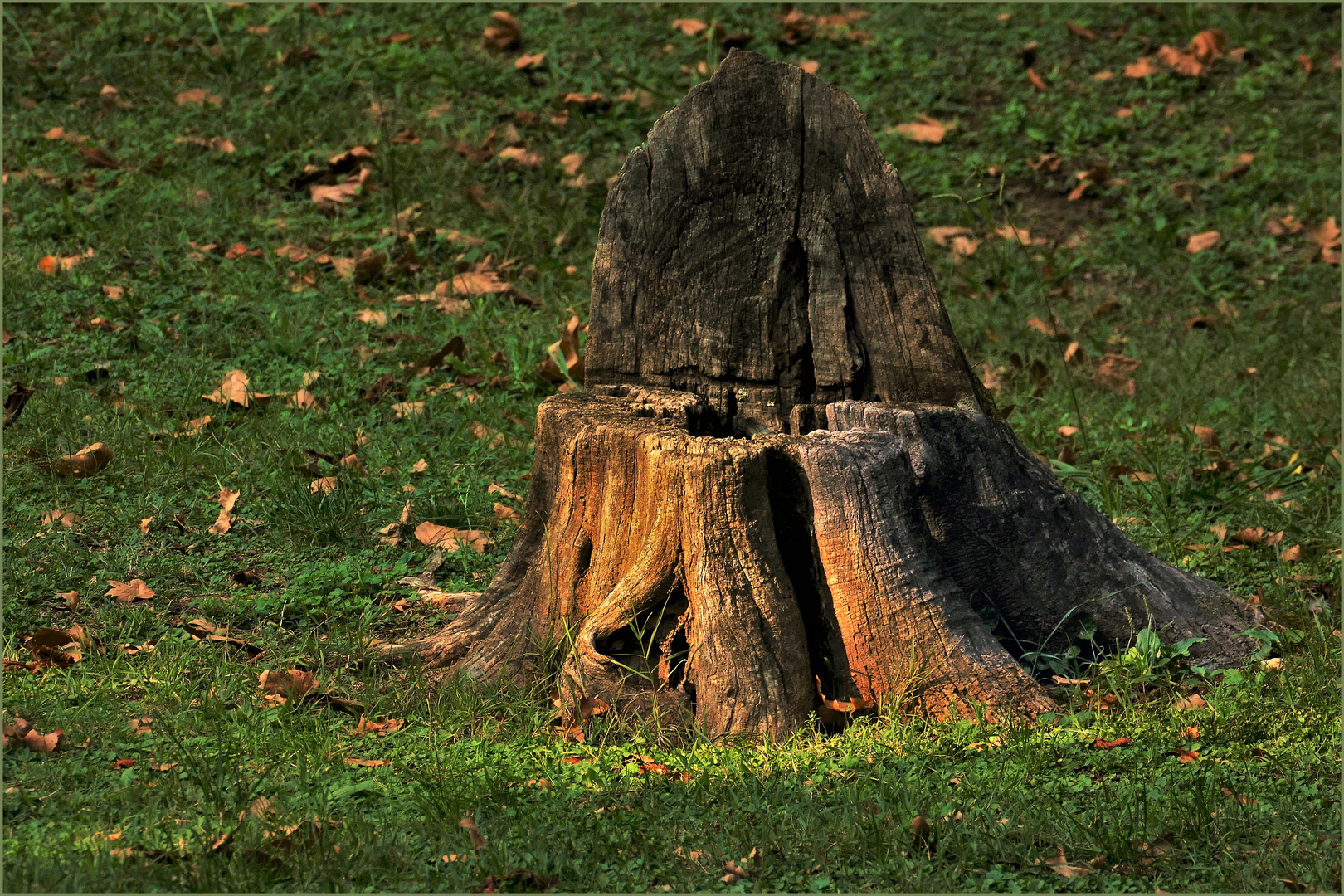 la chaise des lutins du petit bois ....