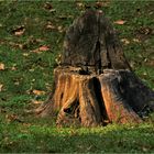 la chaise des lutins du petit bois ....