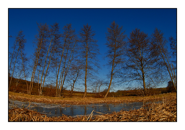 La chaleur de l'hiver