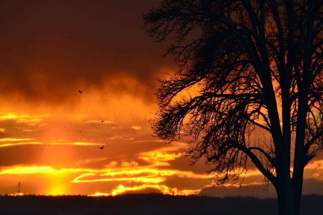  la chaleur du soleil