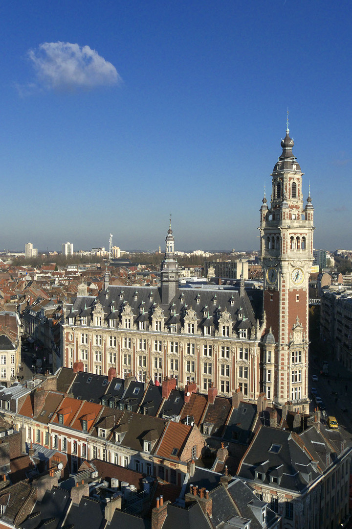 La chambre de commerce de Lille vue depuis la grande roue