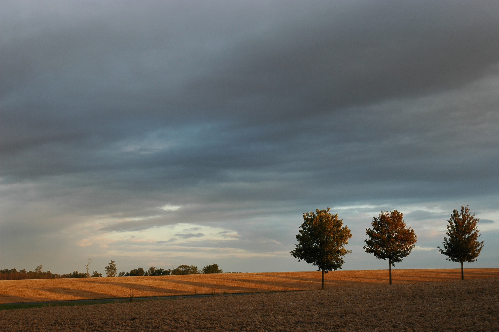 la champagne -francia-