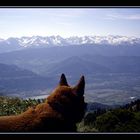 La chaîne de Belledonne