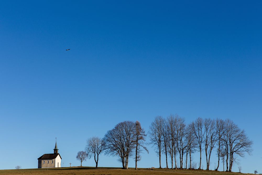 La chapelle et les arbres