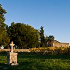 La Chapelle Sainte-Germaine de Barradieu (XIIème) près de Condom, au milieu des vignes