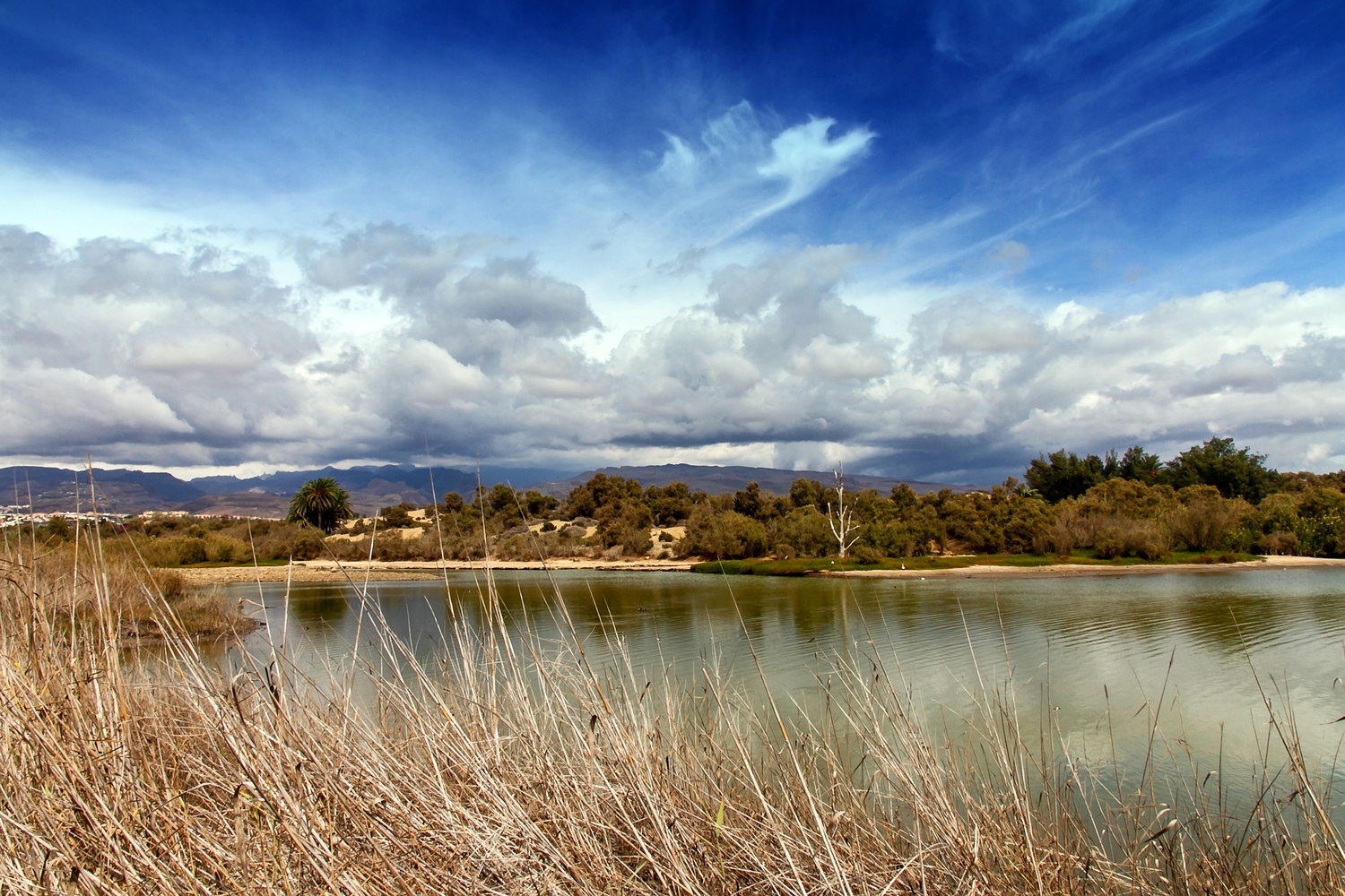 La Charca de Maspalomas