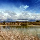 La Charca de Maspalomas