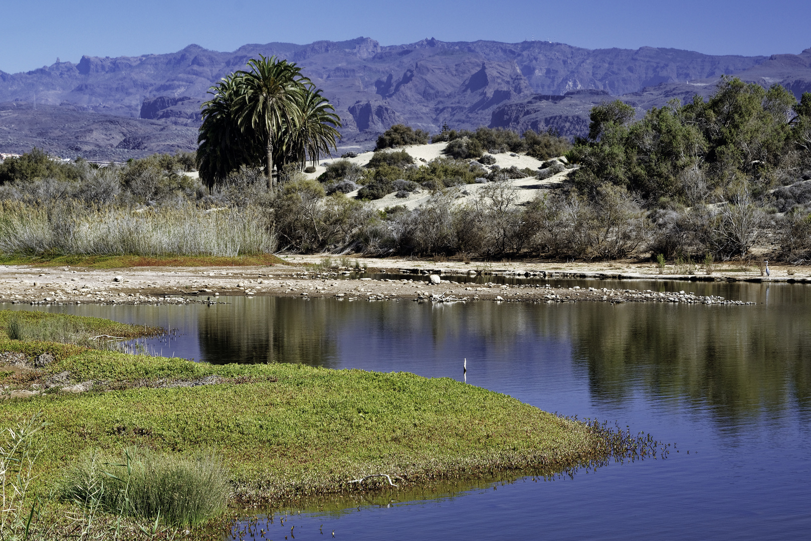 La Charca de Maspalomas