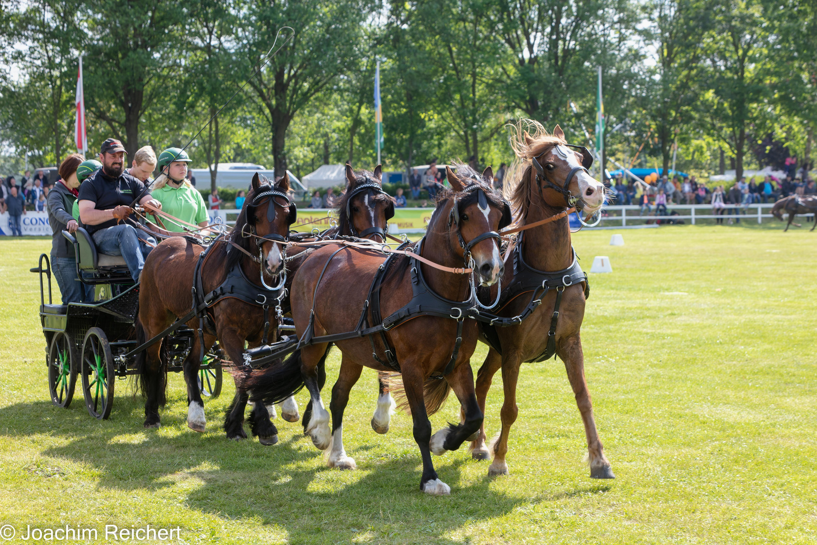 La charrette à cheval