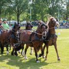 La charrette à cheval