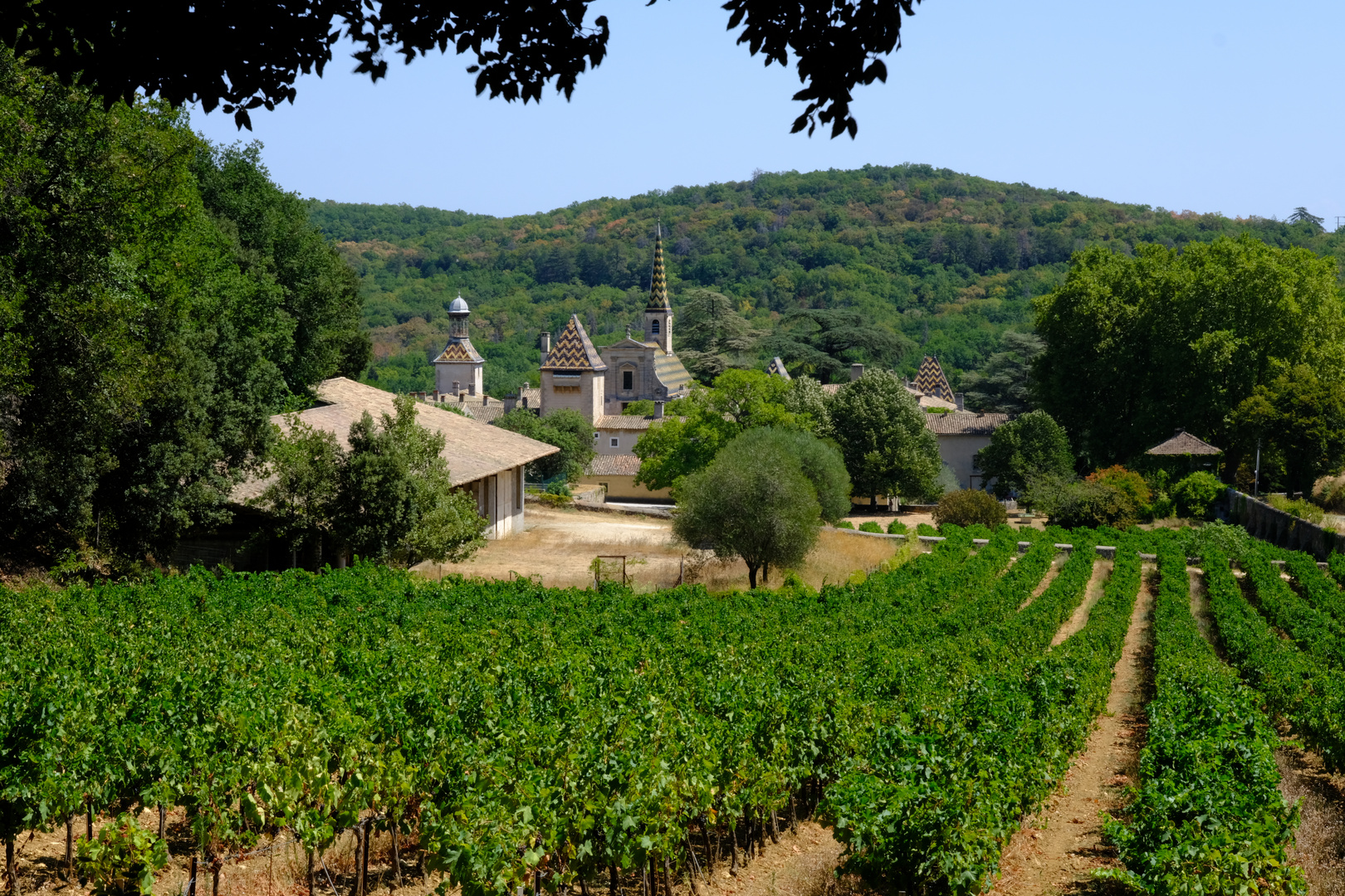 La Chartreuse-De-Valbonne