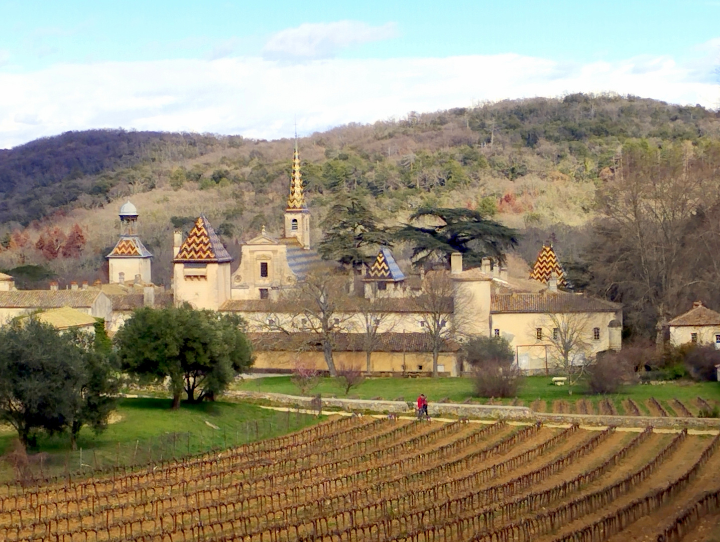 La Chartreuse de Valbonne, Gard