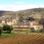 La Chartreuse de Valbonne, Gard