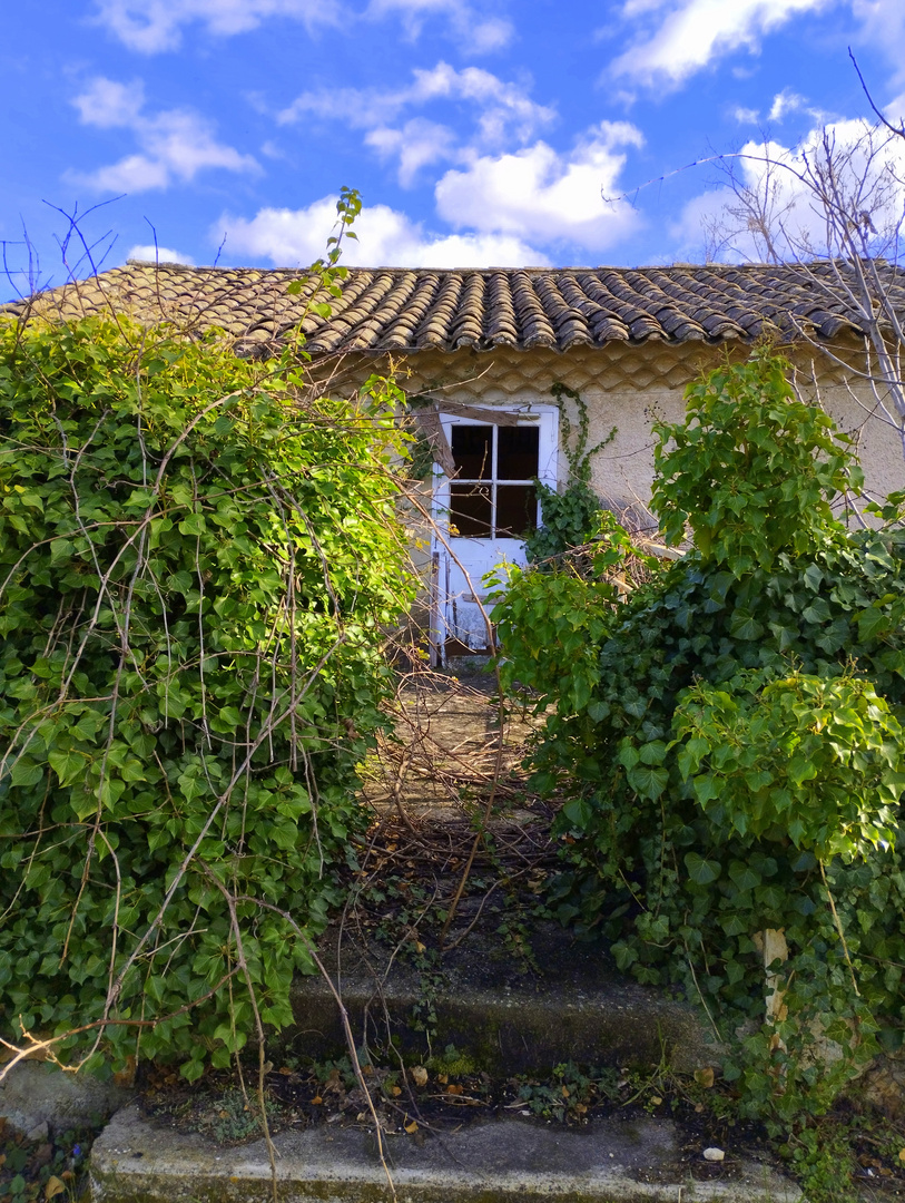 La Chartreuse de Valbonne (suite)