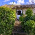 La Chartreuse de Valbonne (suite)