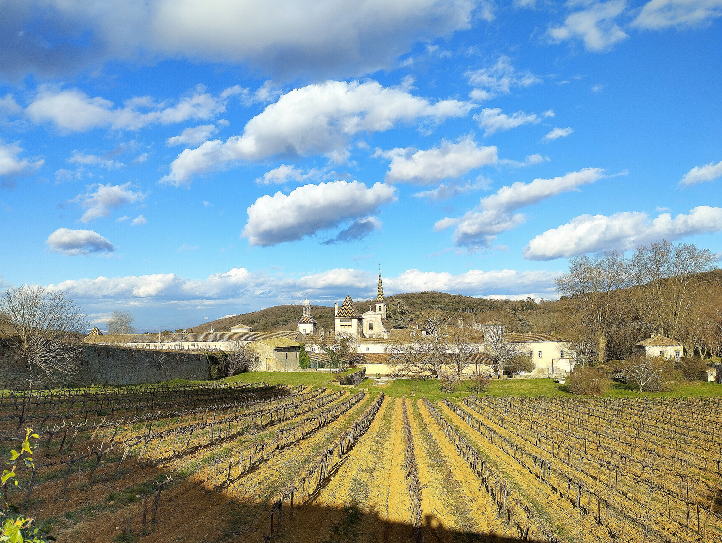 La Chartreuse de Valbonne (suite)