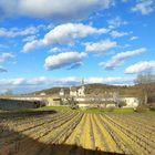 La Chartreuse de Valbonne (suite)