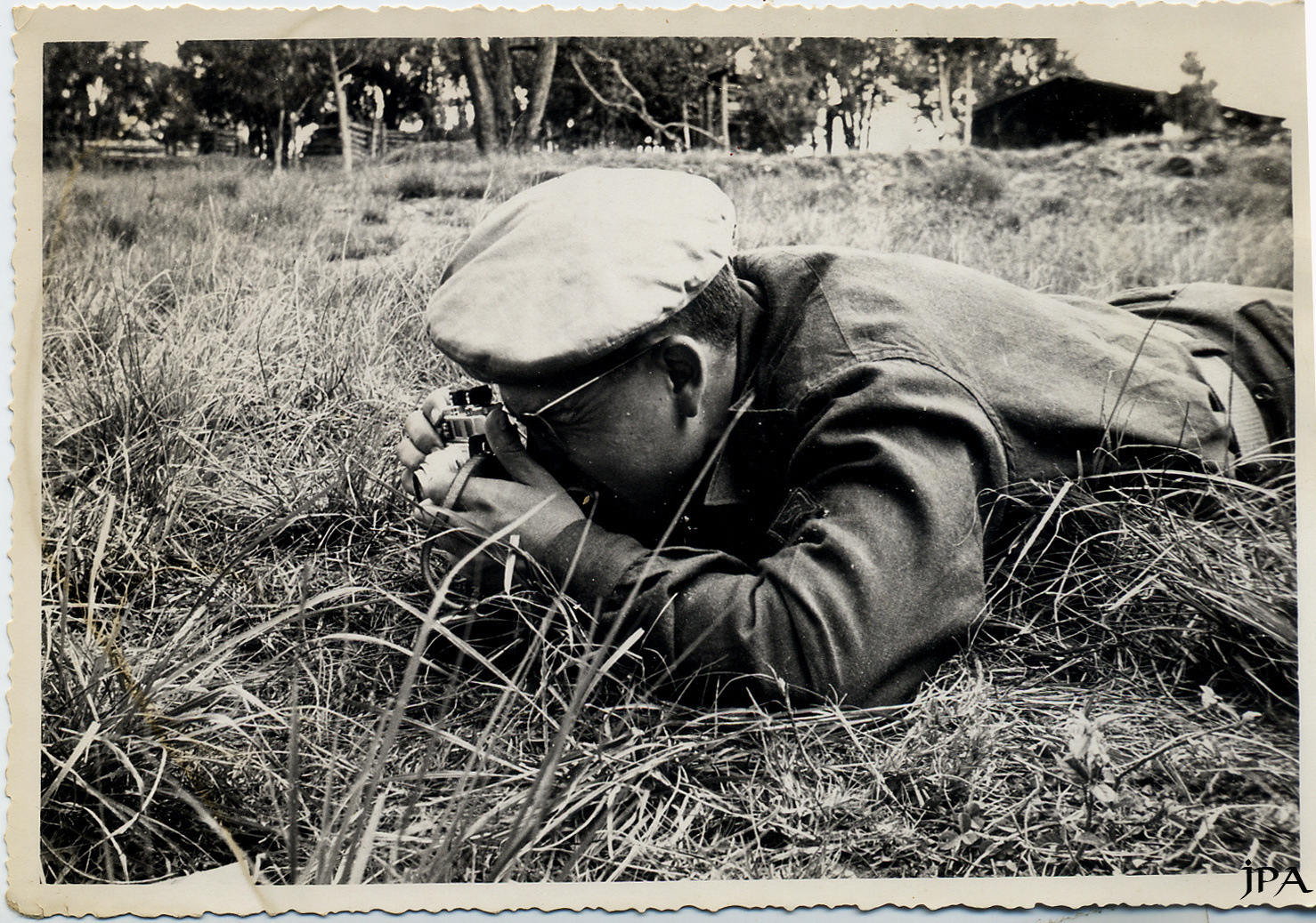 La chasse aux ... champignons