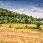 la chaume de la haute bers- die ruhe vor dem sturm