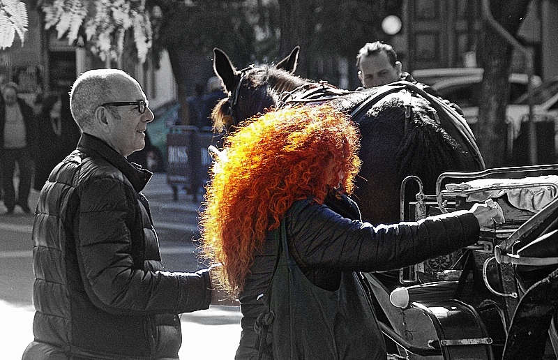 La chioma rossa