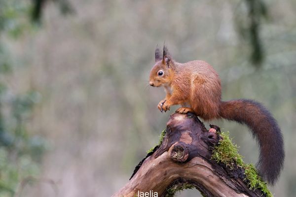 la CHIPETTE as voulue prendre la pose 