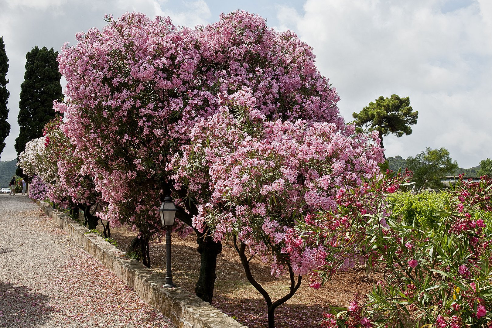 La Chiusa