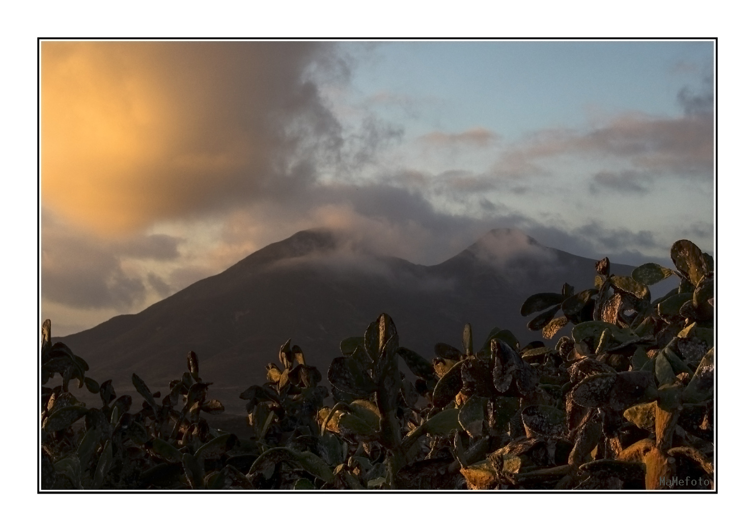 La chumbera y Los Frailes