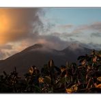 La chumbera y Los Frailes