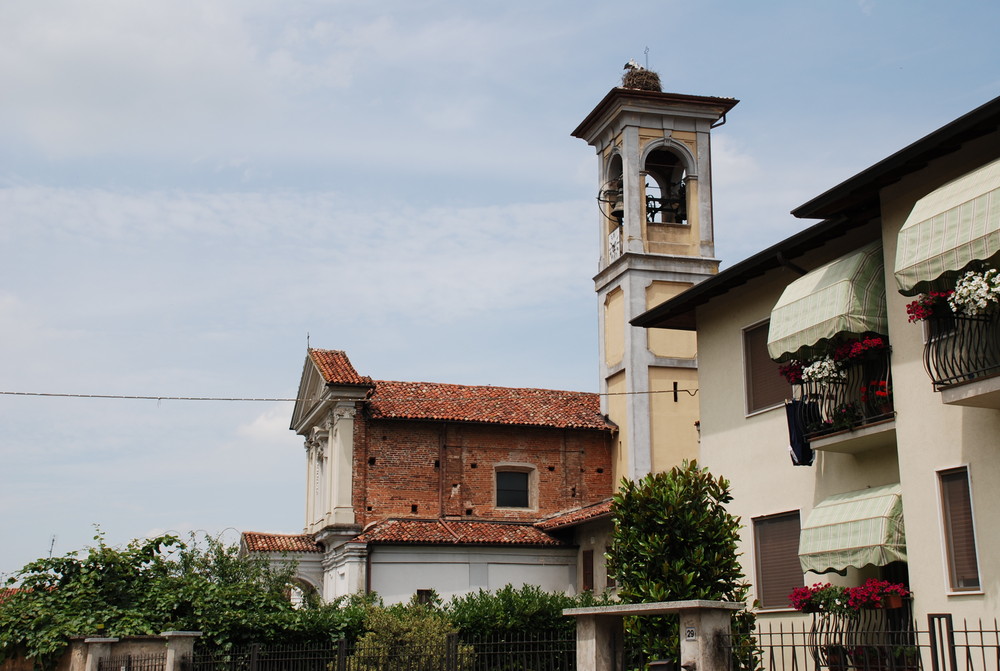 La cicogna con il suo nido.