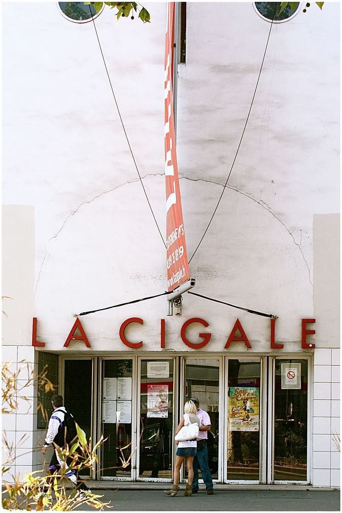 la cigale