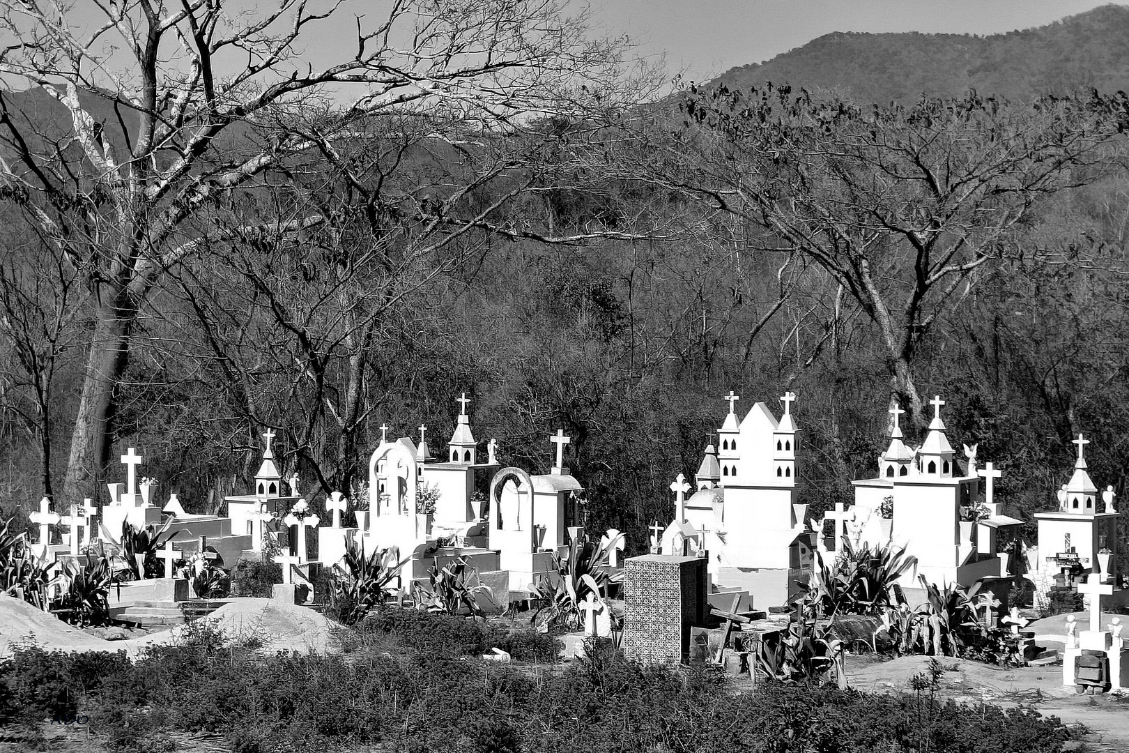 la  cimetière de El Tuito