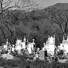 la  cimetière de El Tuito