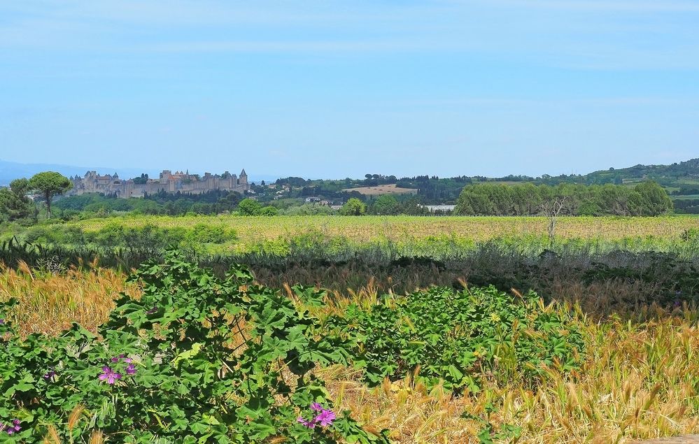 La cité médiévale de Carcassonne au milieu de la campagne