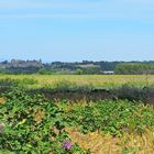 La cité médiévale de Carcassonne au milieu de la campagne