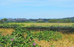 La cité médiévale de Carcassonne au milieu de la campagne