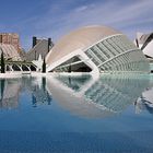 La città delle Arti e delle Scienze- Valencia (Spagna)