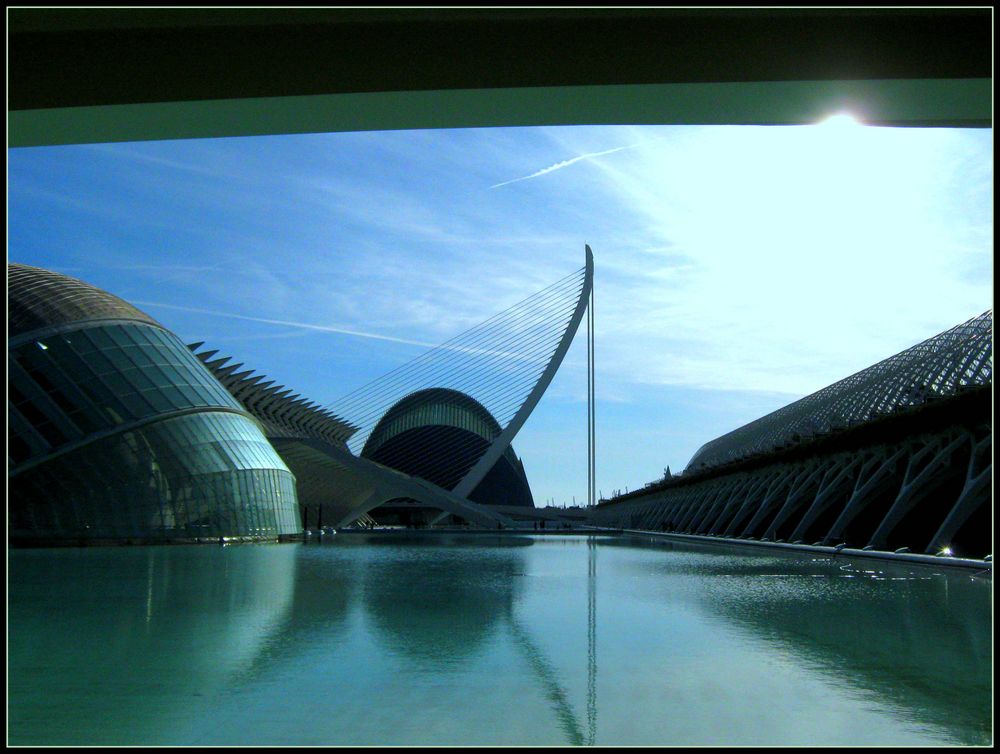 La città delle scienze e delle arti..Valencia