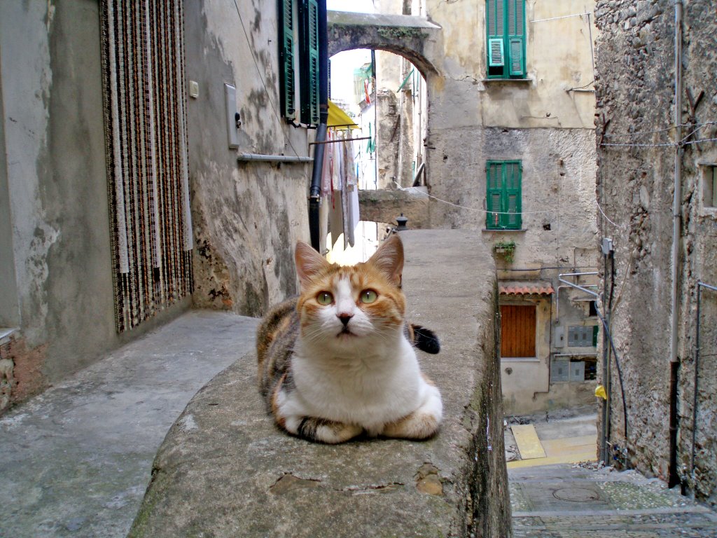 La città vecchia di San Remo