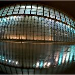 La Ciudad de las Artes y las Ciencias