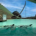 La Ciudad de las Artes y las Ciencias