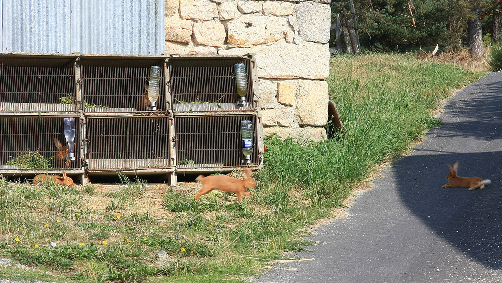 La clé des champs !