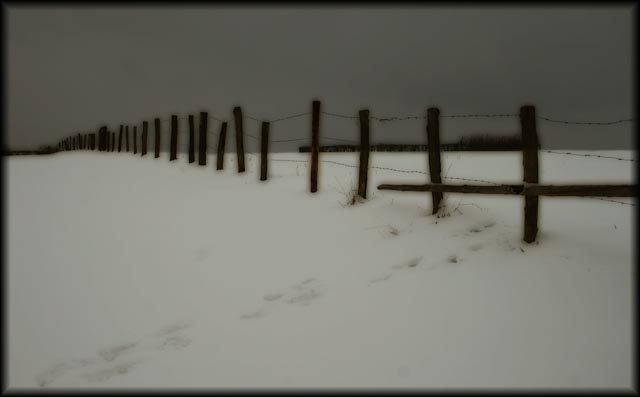 la cloture sous la neige