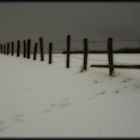 la cloture sous la neige